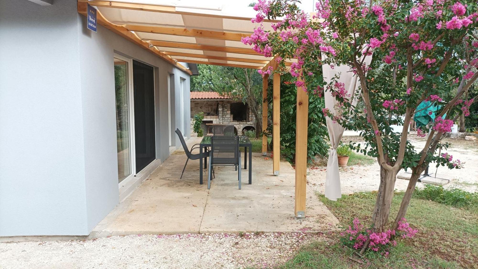 Marti'S House In The Olive Grove Apartment Fažana Exterior foto